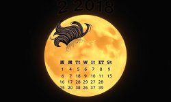 Лунный календарь стрижки: как приручить ритмы Луны для волос