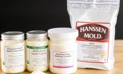 Товары для сыроделия: защитные закваски и плесень hansen, практическое руководство