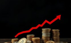 Вклады с высоким процентом: как выбрать выгодное решение и не потерять деньги