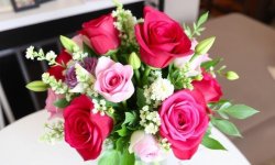 Букет на день мамы – как язык цветов помогает выразить то, что сложно сказать словами