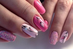 Сколько стоит коала в России: мифы, факты и реальность