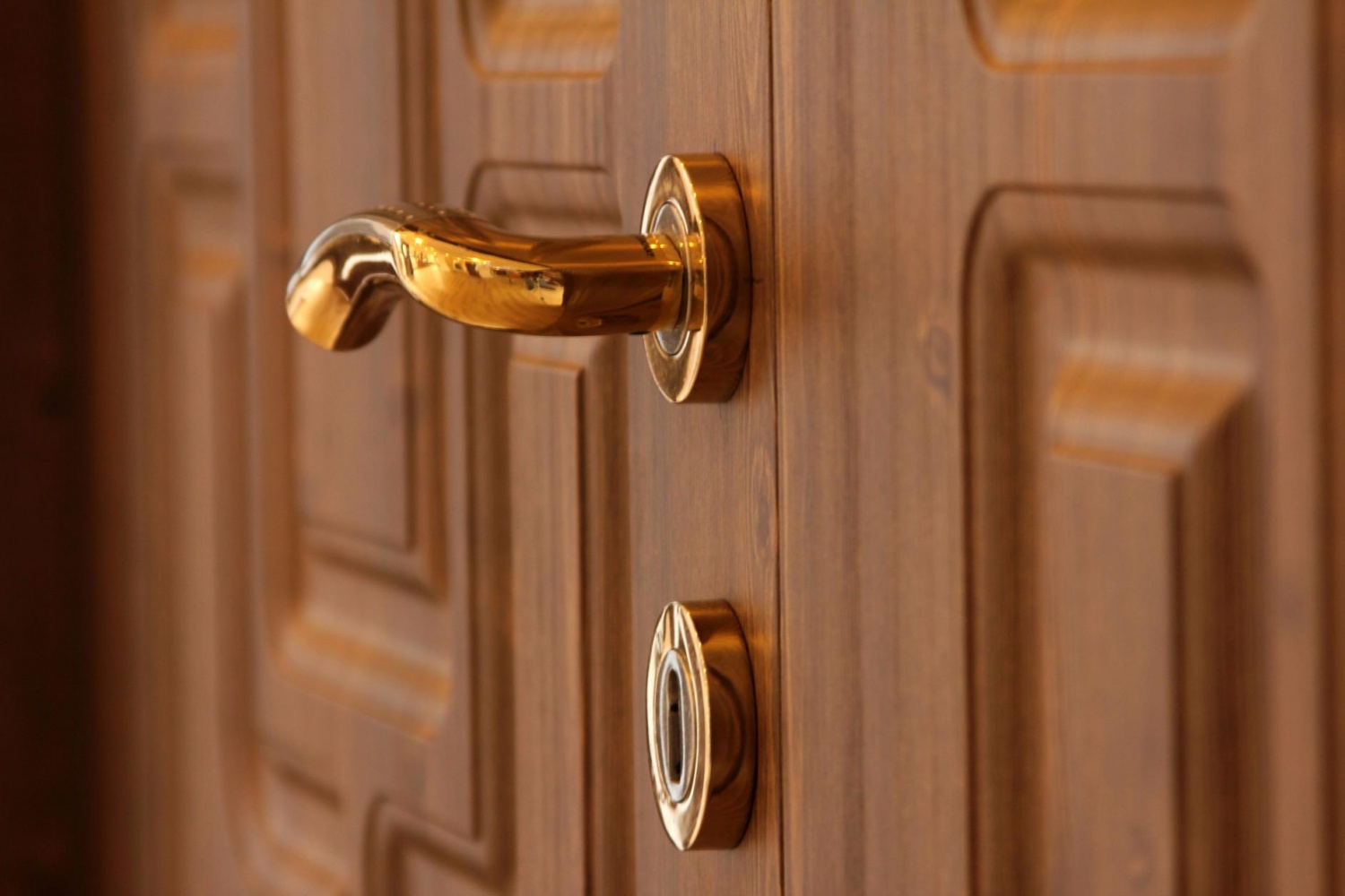 Приснилась дверь в квартиру. Межкомнатная дверная ручка smart2lock. Фурнитура для межкомнатных дверей. Ручки для входных дверей. Дверные ручки для входных дверей.